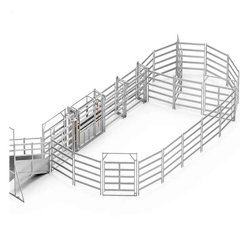 Diy Sheep Handling System