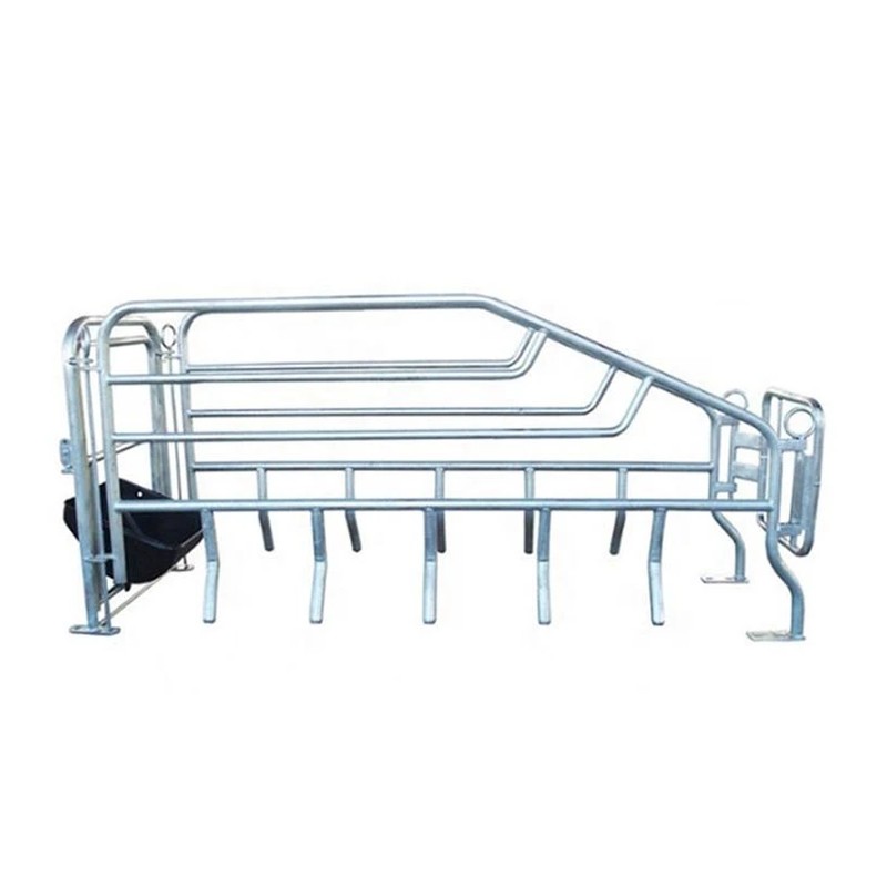 Gestation Crates For Sows