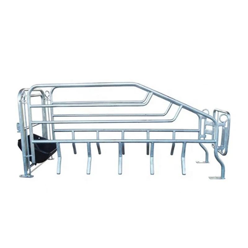 Gestation Crates For Sows photo 2