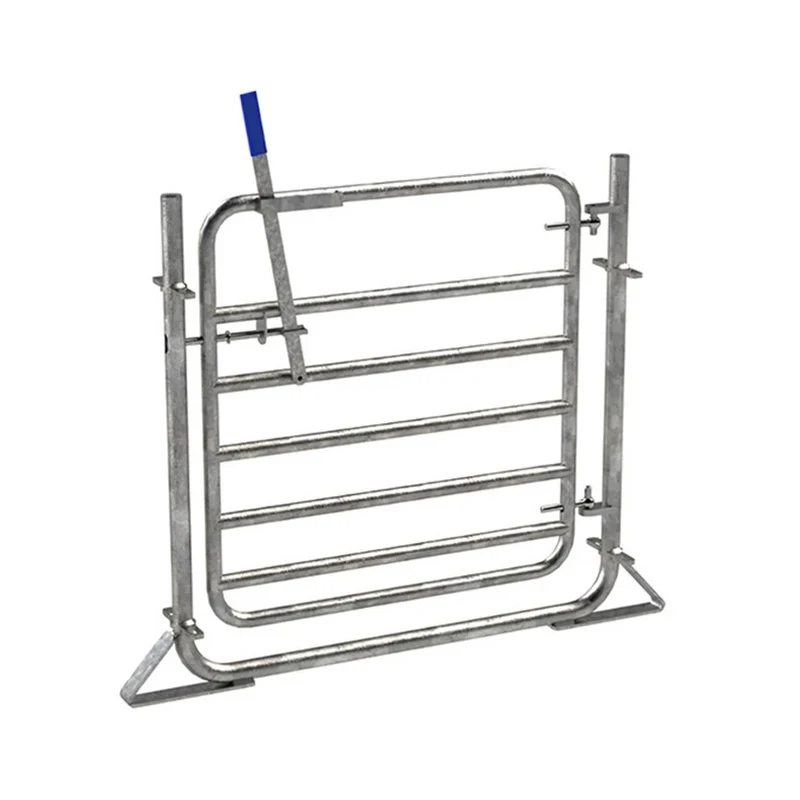 Sheep Swinging Gates photo 2
